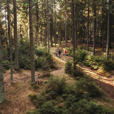 Seensucht Klopeinersee Appartement *